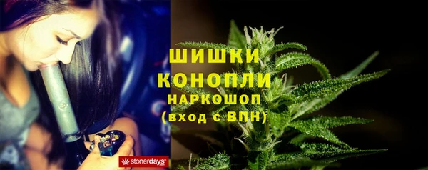 шишки Алзамай