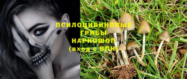 метамфетамин Алексеевка
