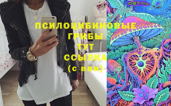 шишки Алзамай