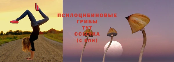 шишки Алзамай