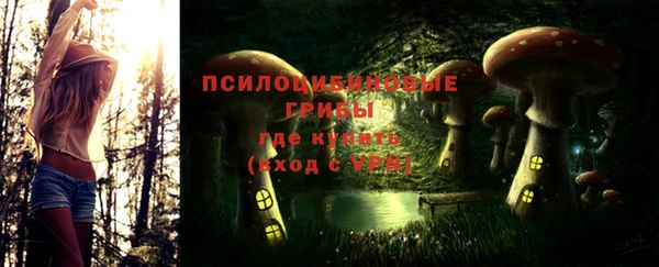 шишки Алзамай