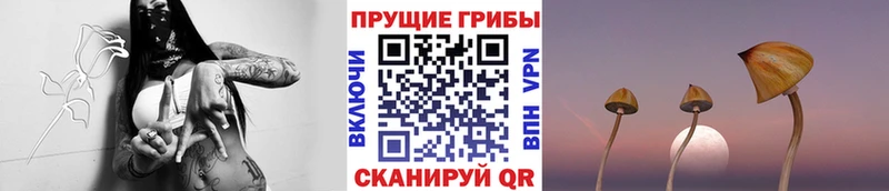 Галлюциногенные грибы прущие грибы  это Telegram  Буй  купить  